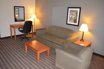 Quality Inn & Suites NRG Park - Medical Center