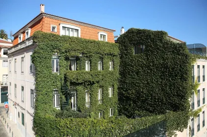 As Janelas Verdes - Lisbon Heritage Collection