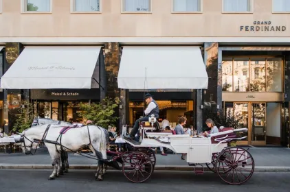 Grand Ferdinand Vienna