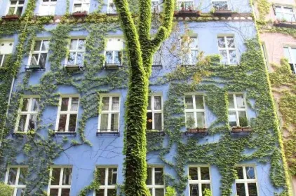 ArtHotel Connection